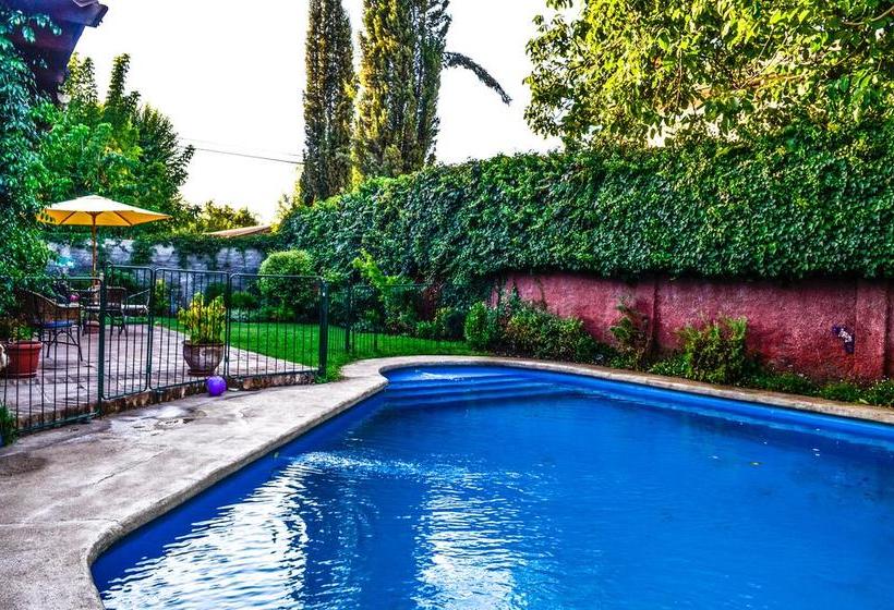 Hostal Cepa Noble | Santa Cruz | O'Higgins | Chile 7