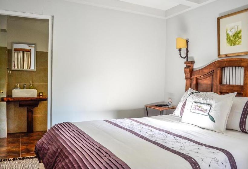 Hostal Cepa Noble | Santa Cruz | O'Higgins | Chile 8