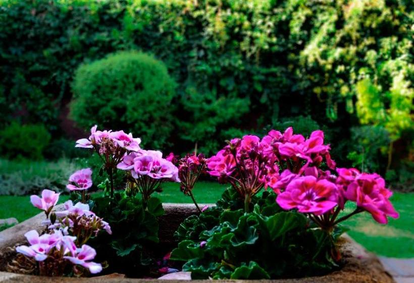 Hostal Cepa Noble | Santa Cruz | O'Higgins | Chile 9