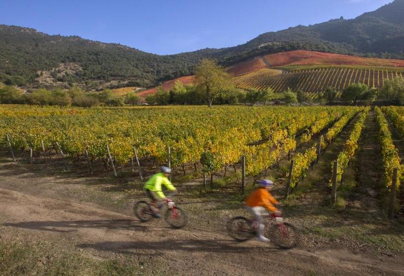 Hotel Lapostolle Residence | Santa Cruz | O'Higgins | Chile 11