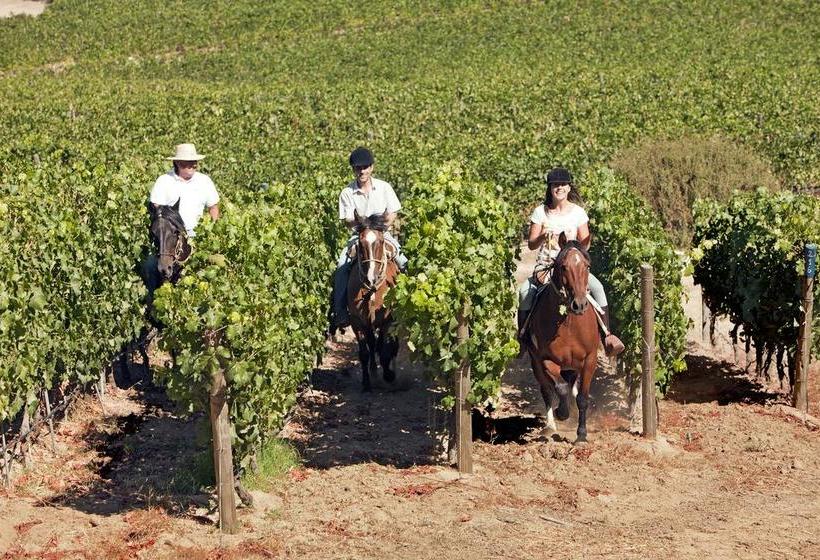 Hotel Lapostolle Residence | Santa Cruz | O'Higgins | Chile 13