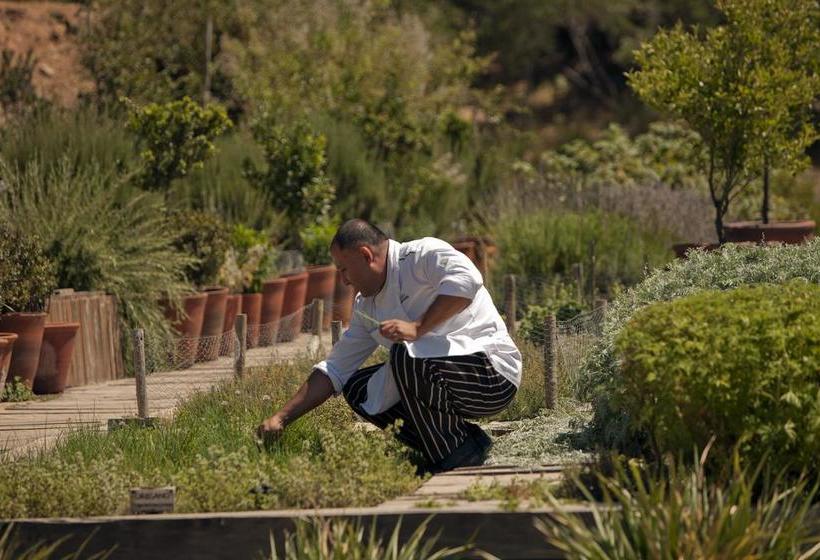 Hotel Lapostolle Residence | Santa Cruz | O'Higgins | Chile 16