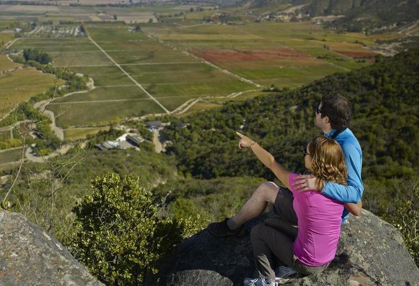 Hotel Lapostolle Residence | Santa Cruz | O'Higgins | Chile 8