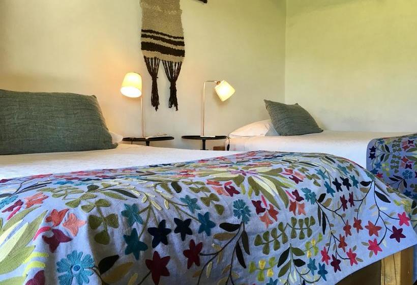 Hotel Casa de Campo | Santa Cruz | O'Higgins | Chile 19