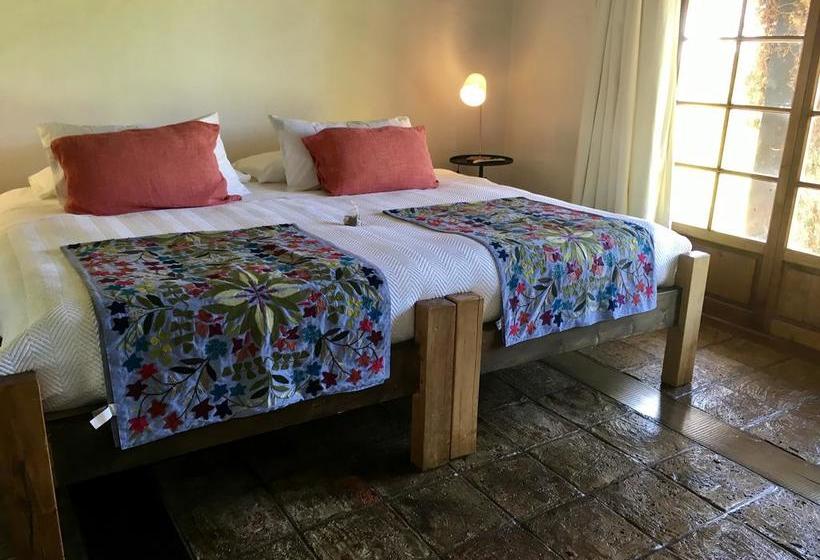 Hotel Casa de Campo | Santa Cruz | O'Higgins | Chile 20