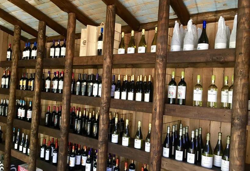 Hotel Casa de Campo | Santa Cruz | O'Higgins | Chile 4