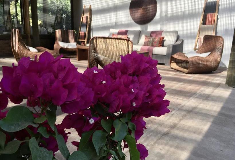 Hotel Casa de Campo | Santa Cruz | O'Higgins | Chile 6