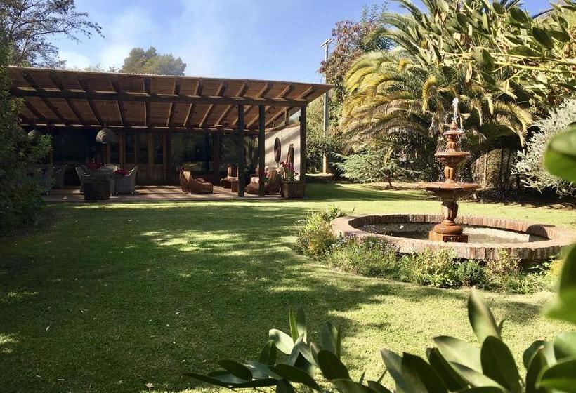 Hotel Casa de Campo | Santa Cruz | O'Higgins | Chile 7