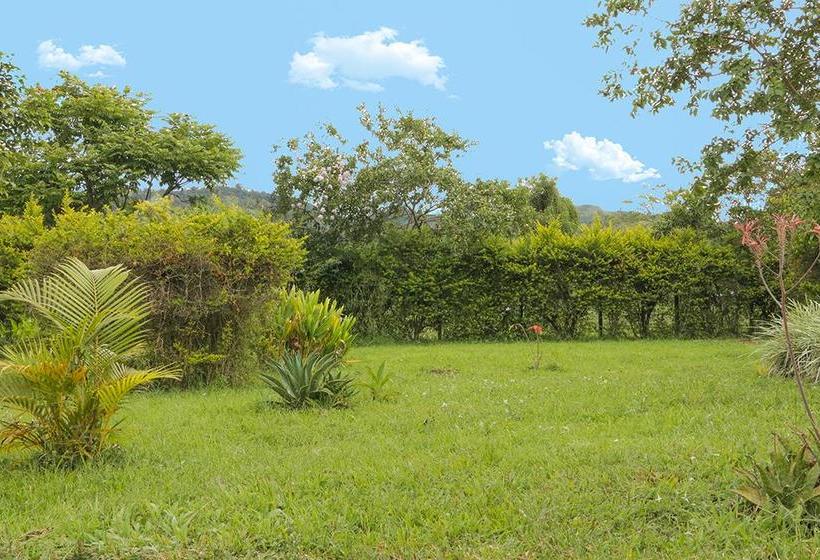 Bed and Breakfast Casa Campestre La Gloria En Pitalito | Pitalito | Huila | Colombia 9