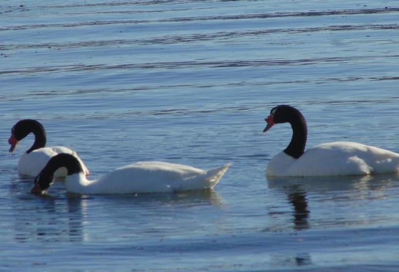 Hotel Complejo Turistico Los Alamos | Puerto Montt | Los Lagos | Chile 10