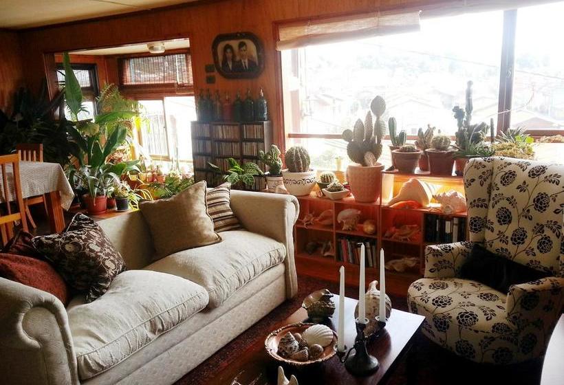 Hostal Colores del Puerto | Puerto Montt | Los Lagos | Chile 11