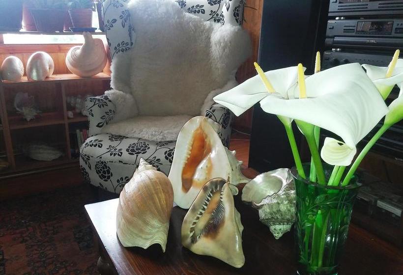 Hostal Colores del Puerto | Puerto Montt | Los Lagos | Chile 12