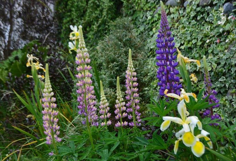 Hostal Colores del Puerto | Puerto Montt | Los Lagos | Chile 14