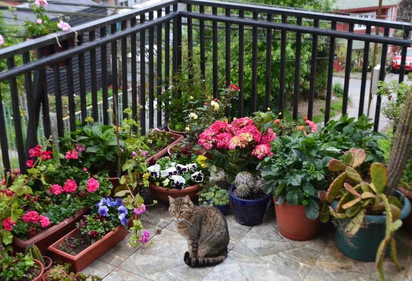 Hostal Colores del Puerto | Puerto Montt | Los Lagos | Chile 16