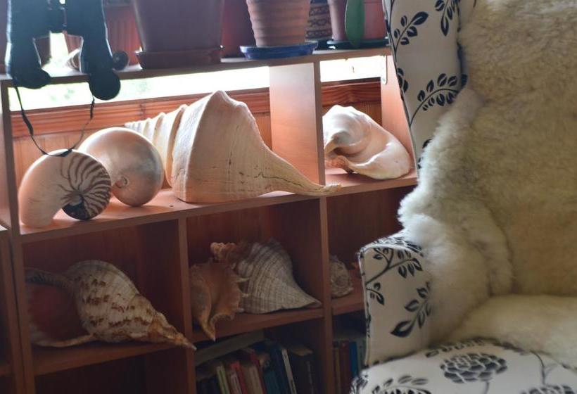 Hostal Colores del Puerto | Puerto Montt | Los Lagos | Chile 17