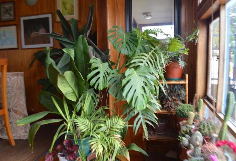 Hostal Colores del Puerto | Puerto Montt | Los Lagos | Chile 18