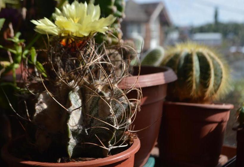 Hostal Colores del Puerto | Puerto Montt | Los Lagos | Chile 19