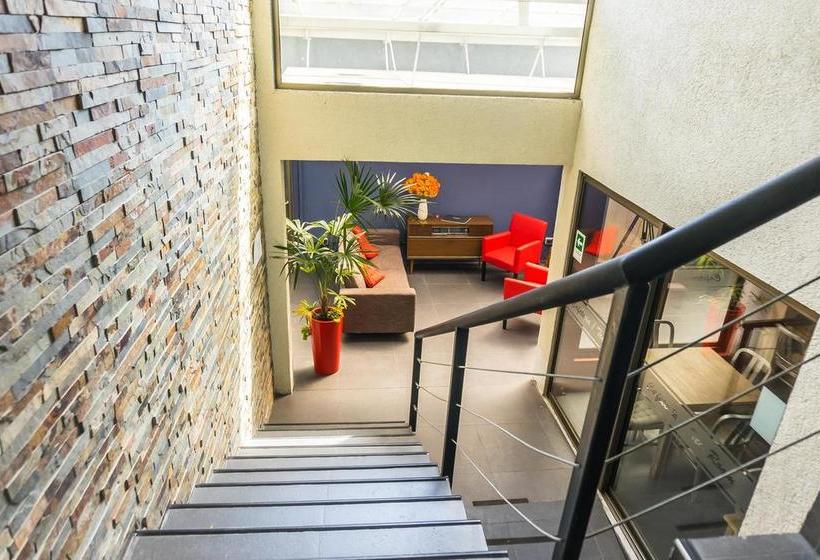 Hotel Stella | Talca | Maule | Chile 19