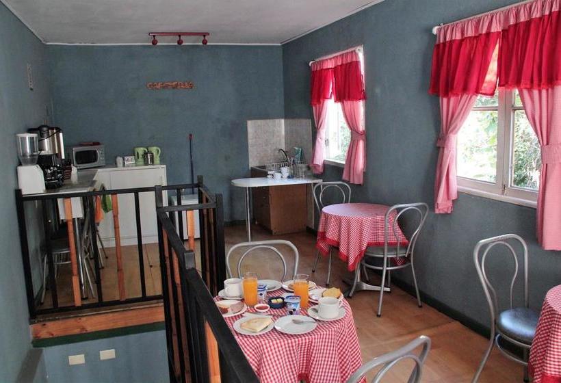 Hotel San Esteban | San Esteban | Valparaiso | Chile 16