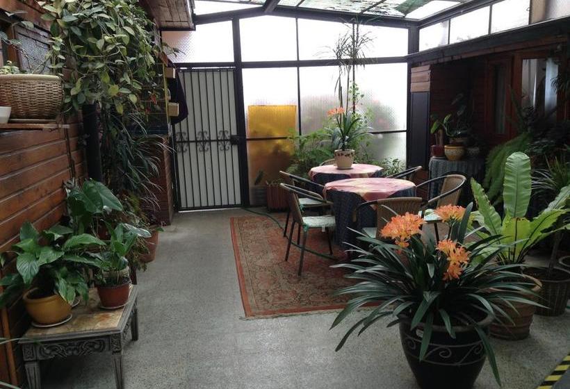 Hotel Luanco | Temuco | Araucanía | Chile 9