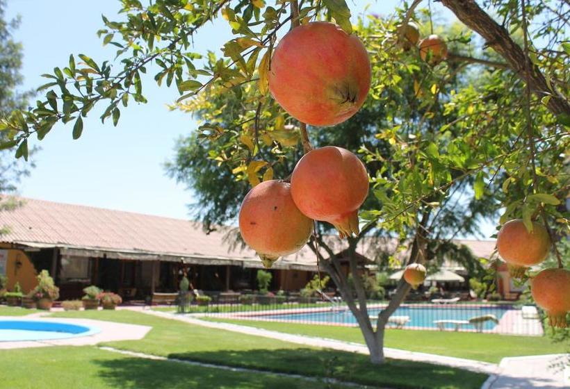 Hotel Maray | Copiapó | Atacama | Chile 8