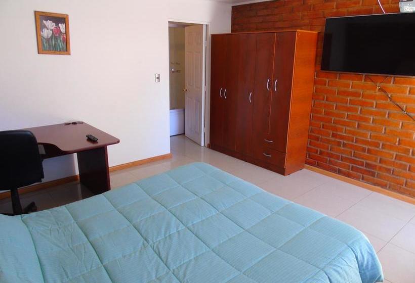 Hostal San Vicente | Copiapó | Atacama | Chile 11