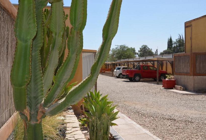 Hotel Atacama Lodge | Copiapó | Atacama | Chile 10