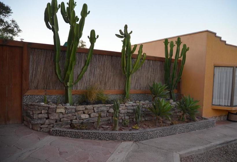 Hotel Atacama Lodge | Copiapó | Atacama | Chile 3