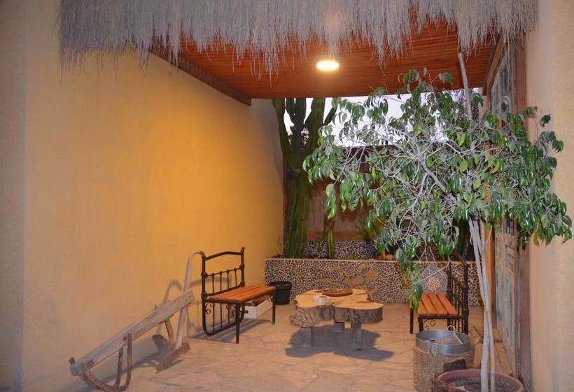 Hotel Atacama Lodge | Copiapó | Atacama | Chile 9