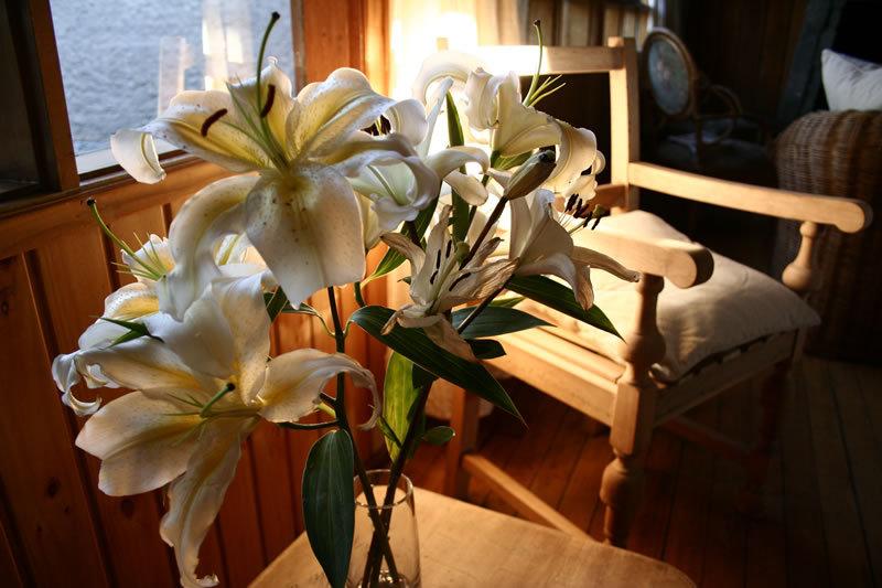 Bed and Breakfast Raices Bed&Breakfast | Coihaique | Aysén | Chile 12