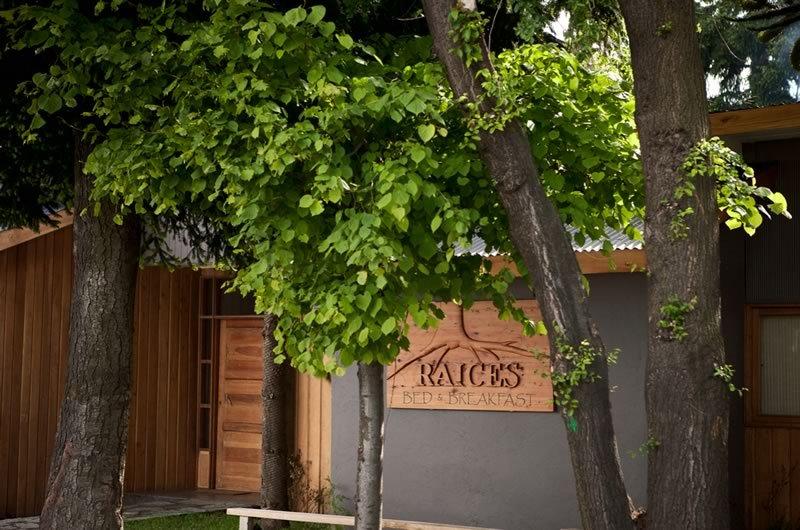 Bed and Breakfast Raices Bed&Breakfast | Coihaique | Aysén | Chile 3