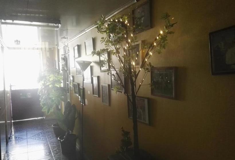 Hotel Mol | Concepcion | Bio-Bio | Chile 9