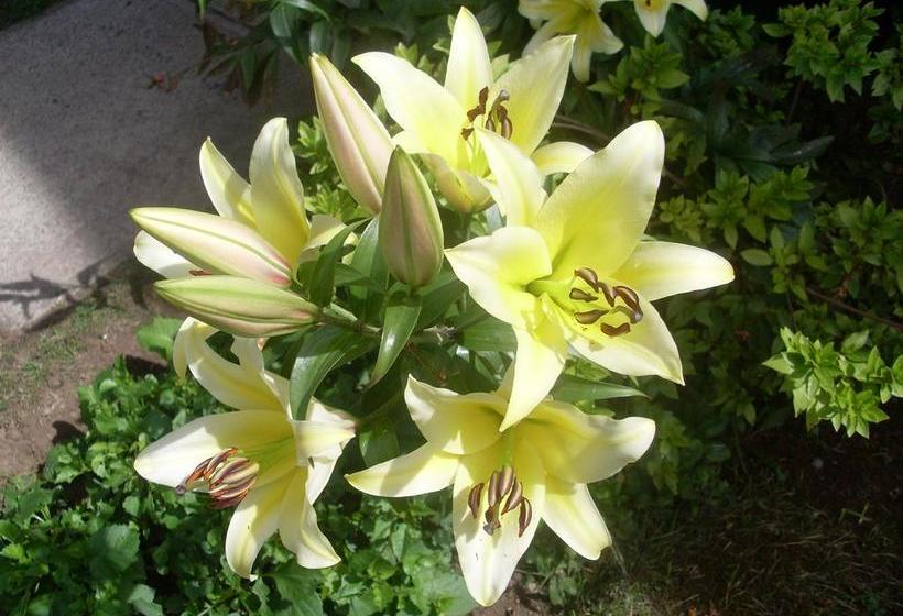 Hostal Chancerel | Puerto Varas | Los Lagos | Chile 20