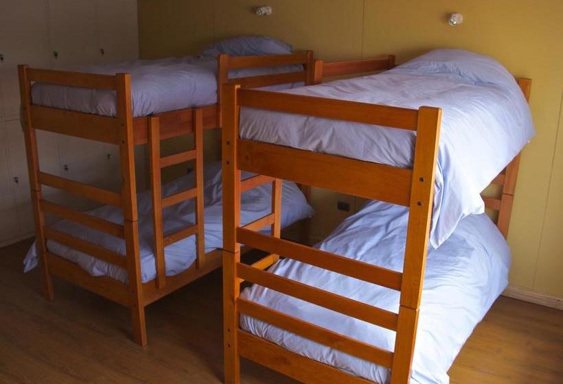 Hostel Motas de Coirón | Puerto Natales | Magallanes y Antartica | Chile 3