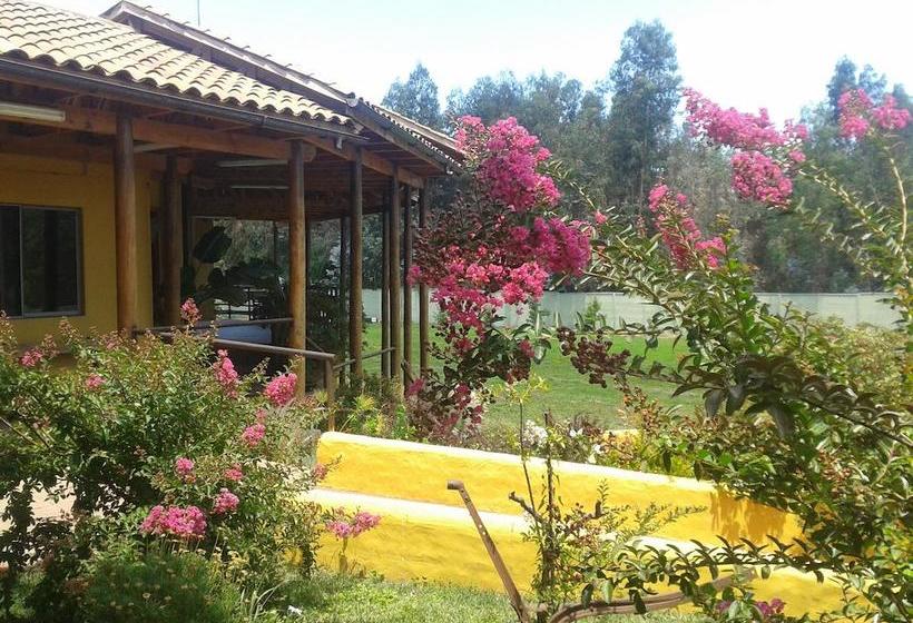 Hotel Ontiveros | San Fernando | O'Higgins | Chile 11