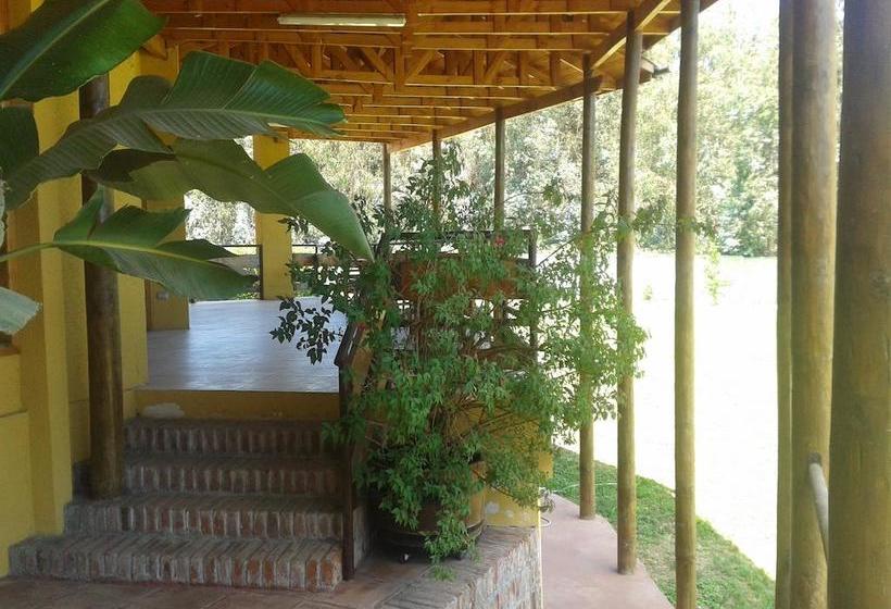 Hotel Ontiveros | San Fernando | O'Higgins | Chile 13