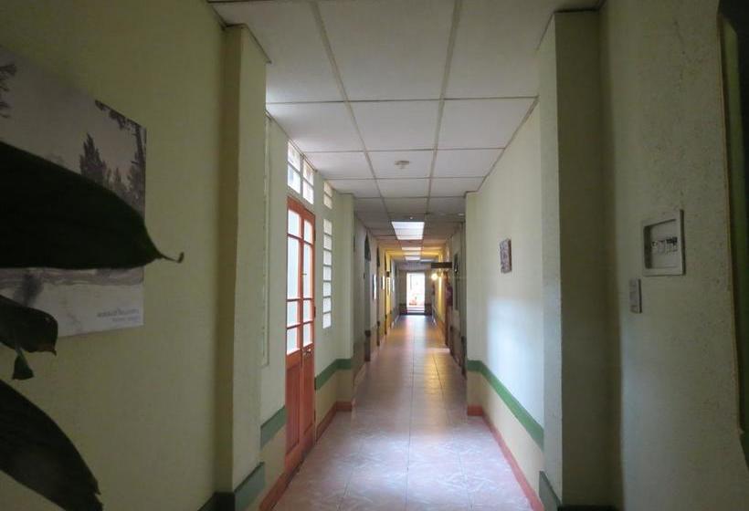 Hotel Terracentro | San Fernando | O'Higgins | Chile 10