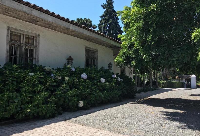 Hotel Casa Silva | San Fernando | O'Higgins | Chile 11