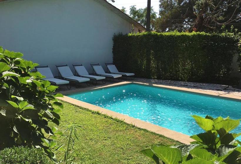 Hotel Casa Silva | San Fernando | O'Higgins | Chile 16