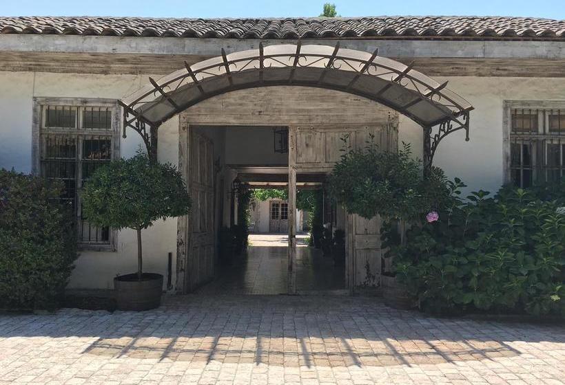 Hotel Casa Silva | San Fernando | O'Higgins | Chile 5