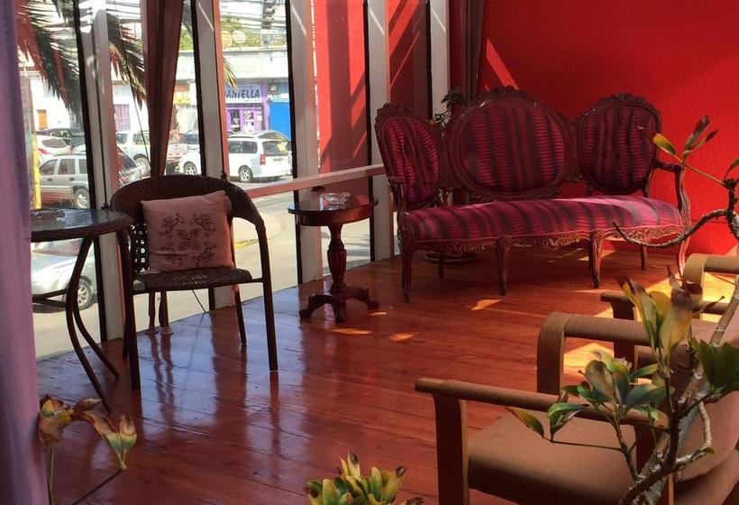 Hotel Cano | Iquique | Tarapaca | Chile 14