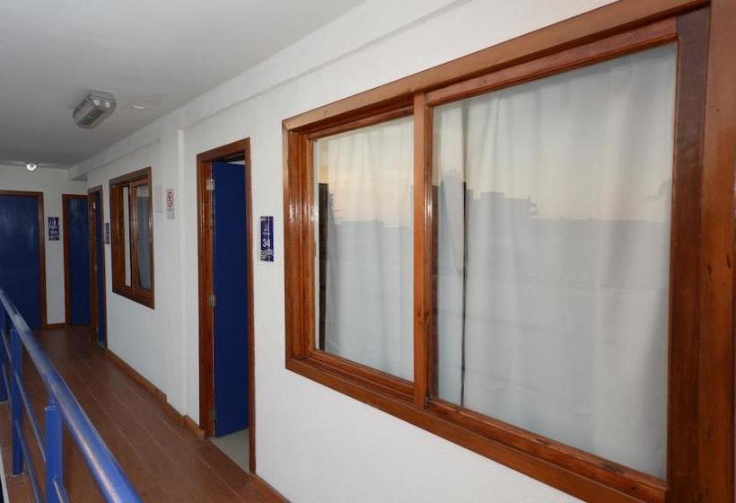 Hotel Esmeralda | Iquique | Tarapaca | Chile 16