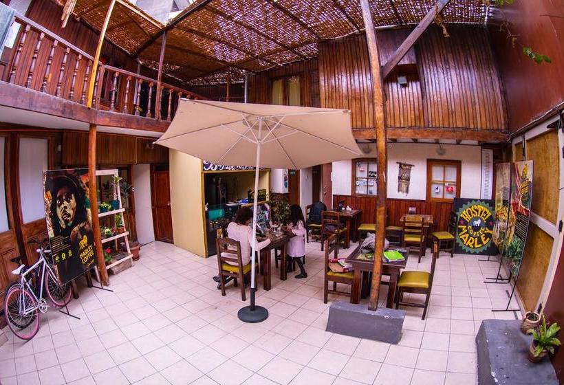 Hostel El Bajo | Iquique | Tarapaca | Chile 2