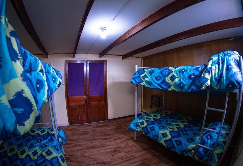 Hostel El Bajo | Iquique | Tarapaca | Chile 3