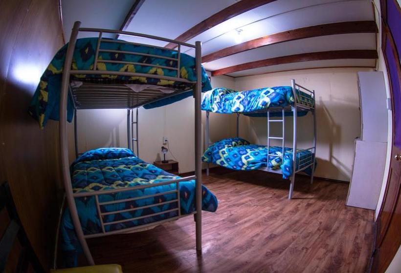 Hostel El Bajo | Iquique | Tarapaca | Chile 6