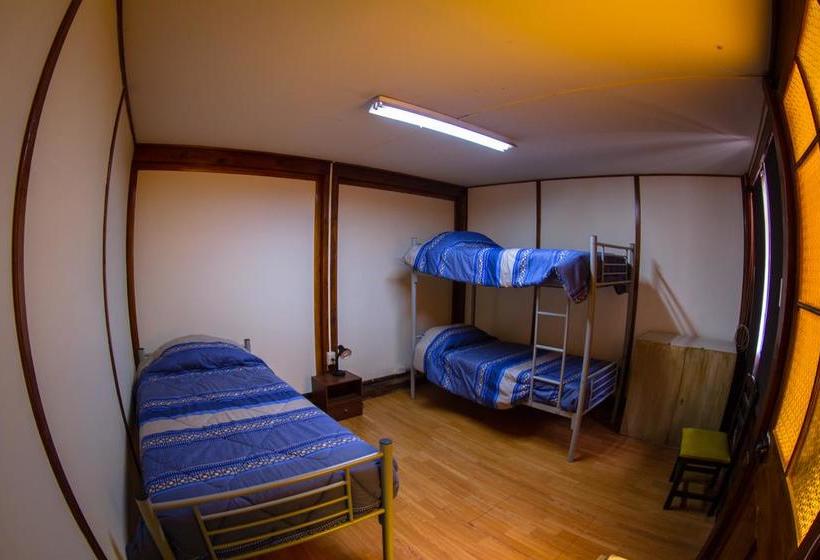 Hostel El Bajo | Iquique | Tarapaca | Chile 8