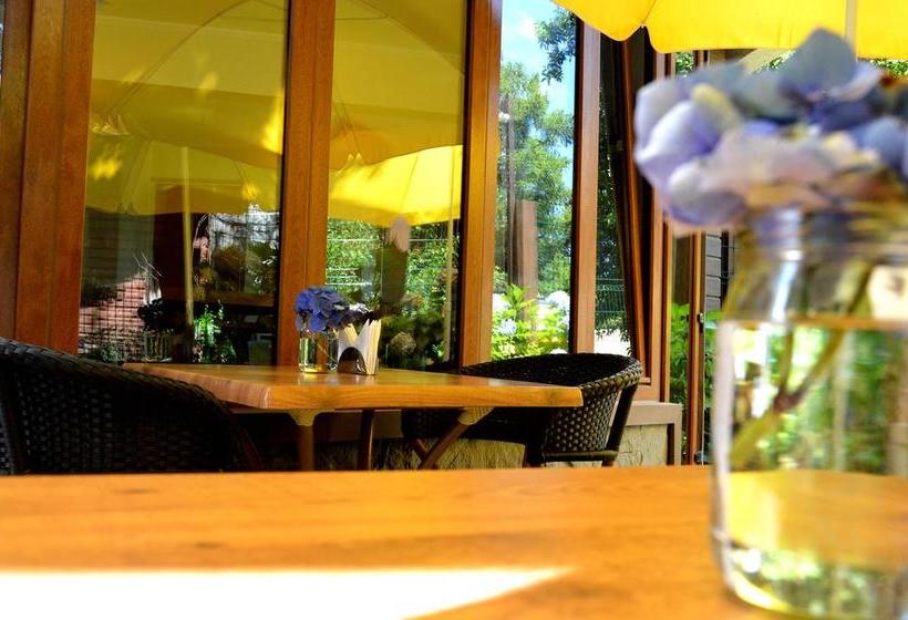 Cocurantu Hotel Boutique Araucanía