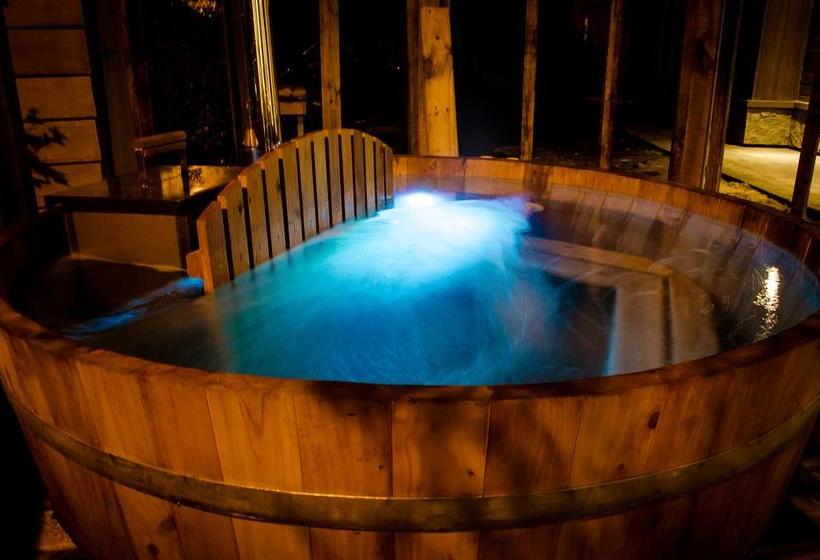 Cocurantu Hotel Boutique | Pucon | Araucanía | Chile 18