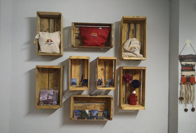 Eile Hostel | Antofagasta | Antofagasta | Chile 20