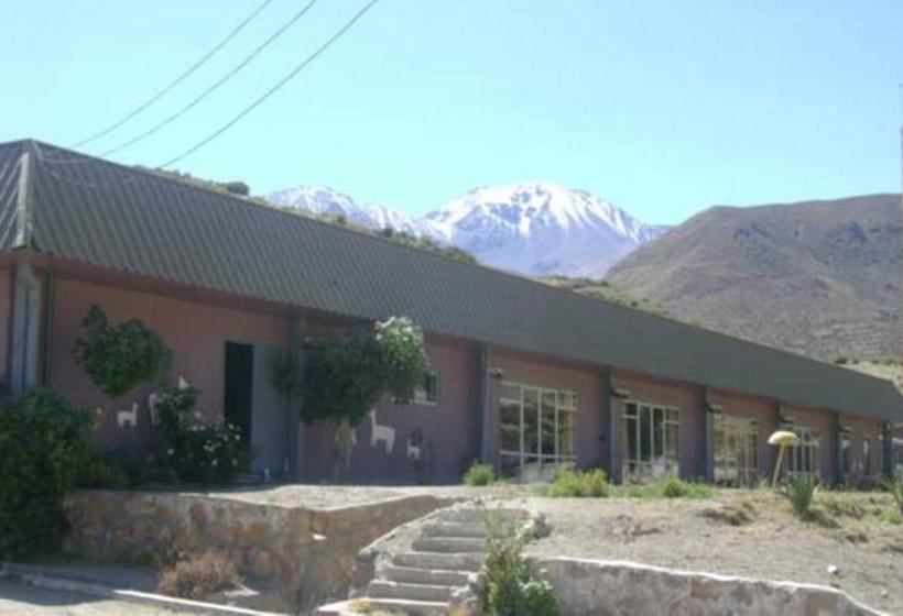 Hotel Las Vicuñas | Putre | Tarapaca | Cile 11